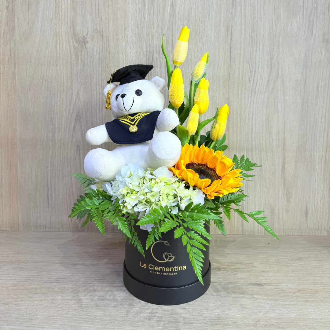 Box Graduado - Tulipanes