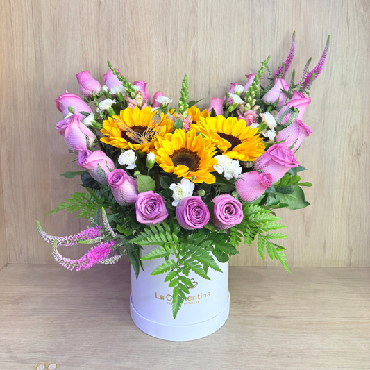 Box Corazon Valiente