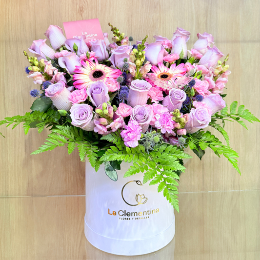 Box Corazon Radiante