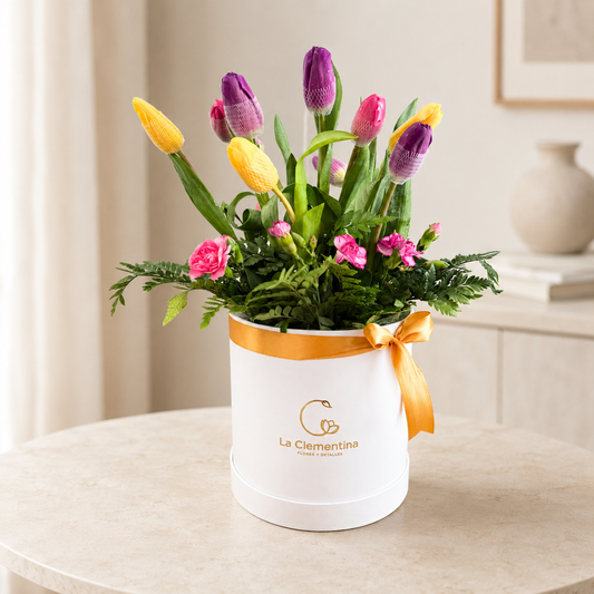 Box 10 Tulipanes