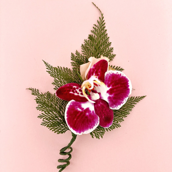 Corsage / Botoniere - Orquidea