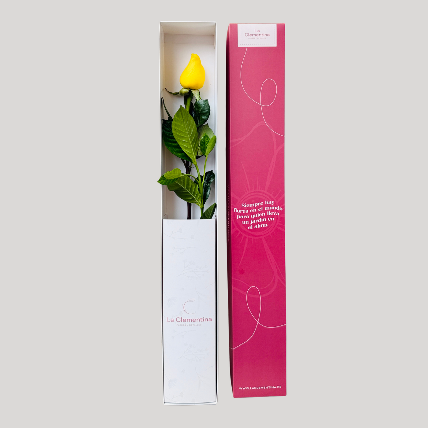Caja Classic 1 Rosa Amarilla