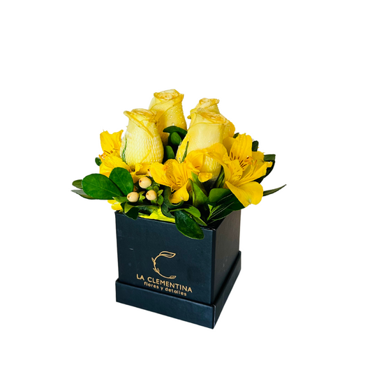 Box Eres Genial - Amarilla