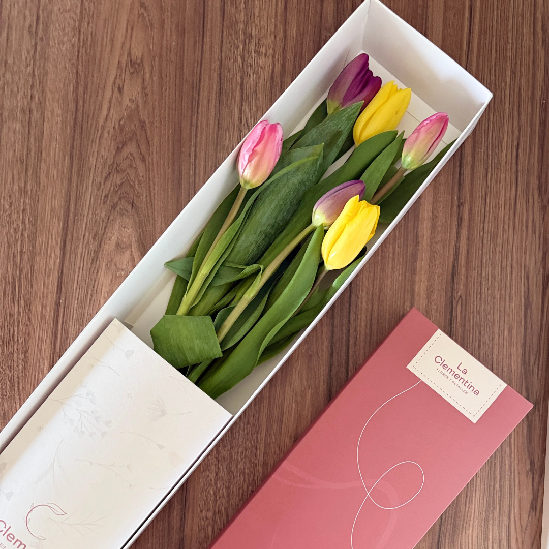 Caja Classic de 6 Tulipanes
