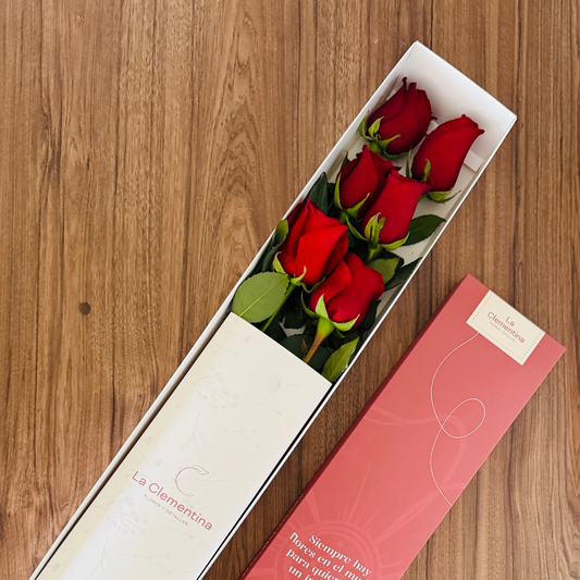 Caja Classic de 6 Rosas