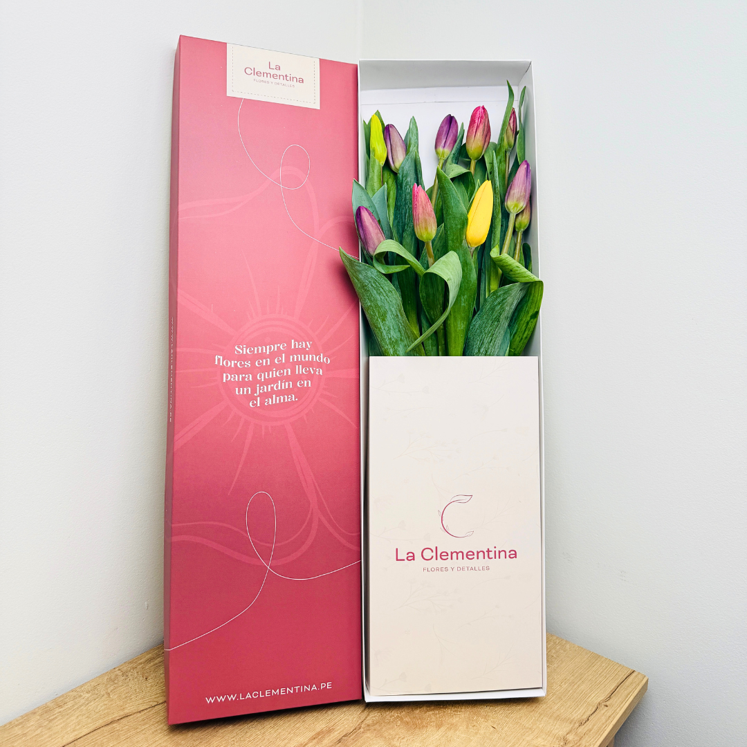Caja Classic de 10 Tulipanes