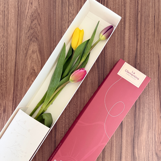Caja Classic de 3 Tulipanes