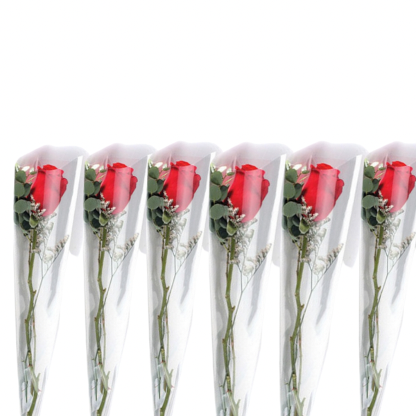 Pack Mujer Valiente