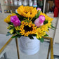 Box Primavera