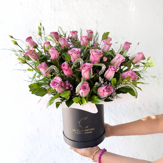 Box Aurelia