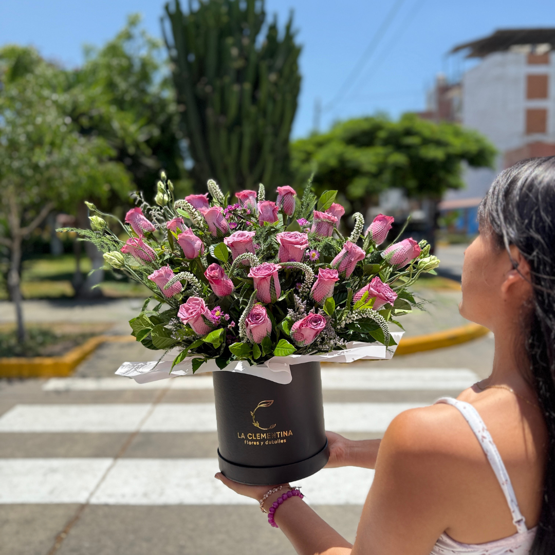 Box Aurelia