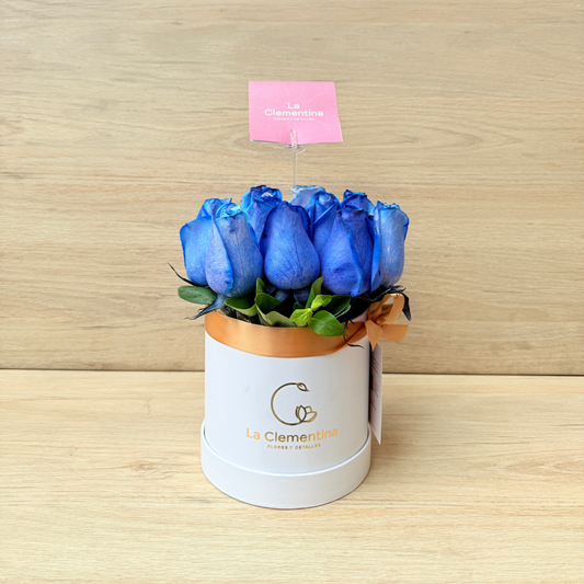 Box Blue Love