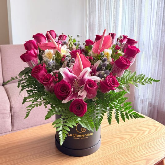 Box Corazon Valiente