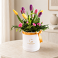 Box 10 Tulipanes