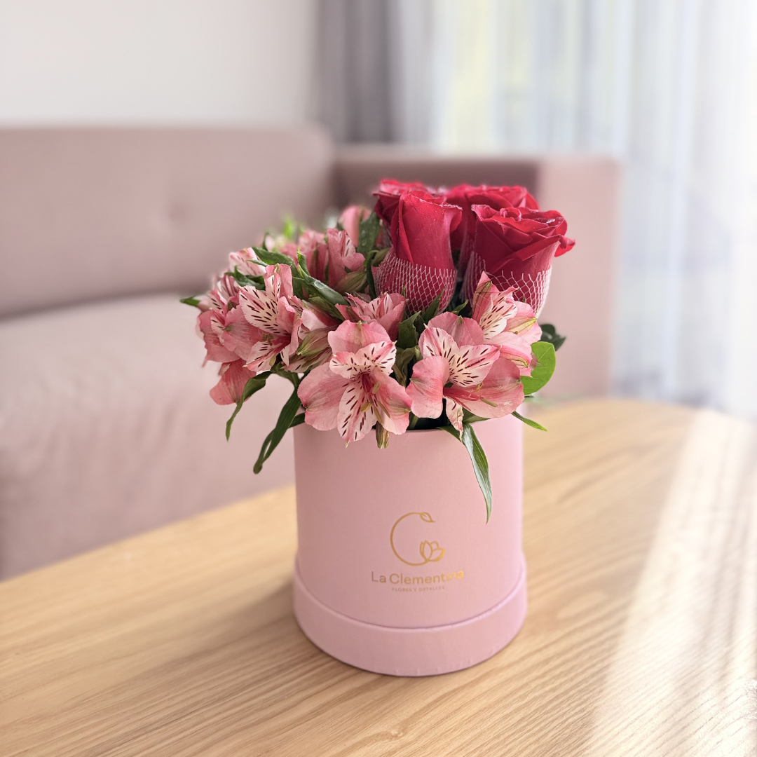 Box 6 rosas - Rojas