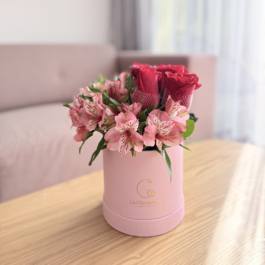 Box 6 rosas - Rojas