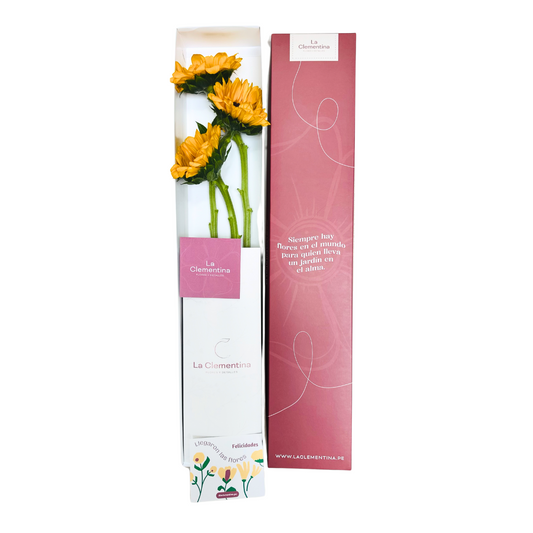 Caja Classic de 3 Girasoles