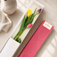 Caja Classic de 3 Tulipanes
