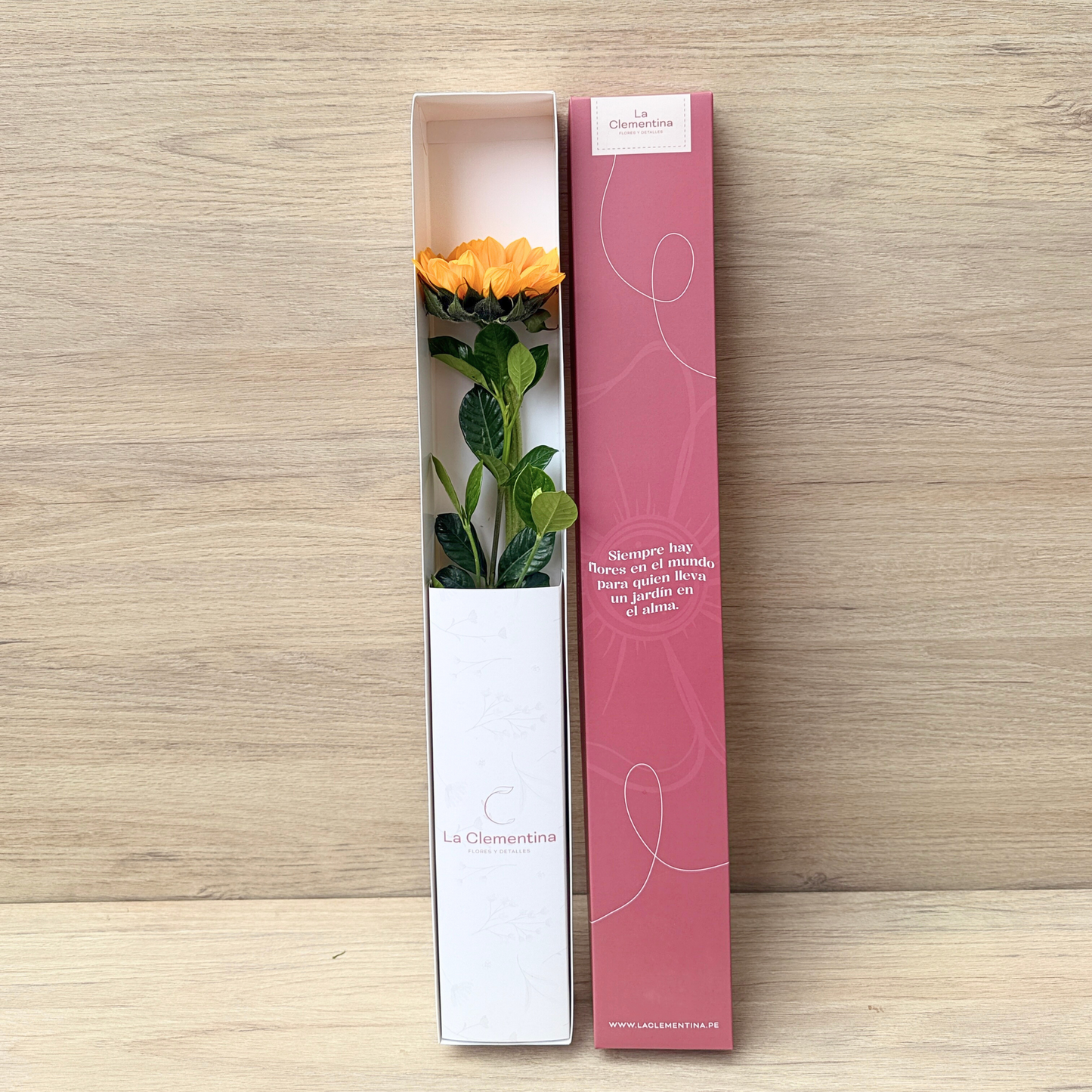 Caja Classic de 1 Girasol