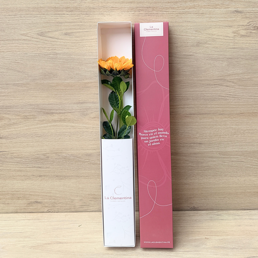 Caja Classic de 1 Girasol