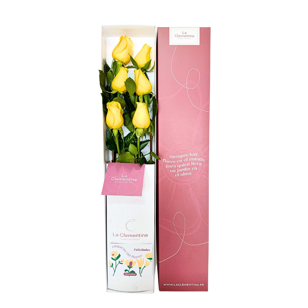 Caja Classic de 6 Rosas
