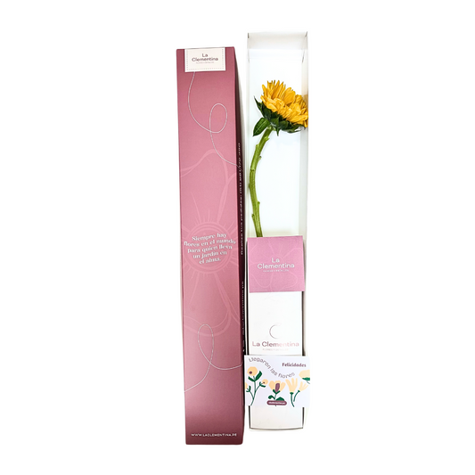 Caja Classic de 1 Girasol