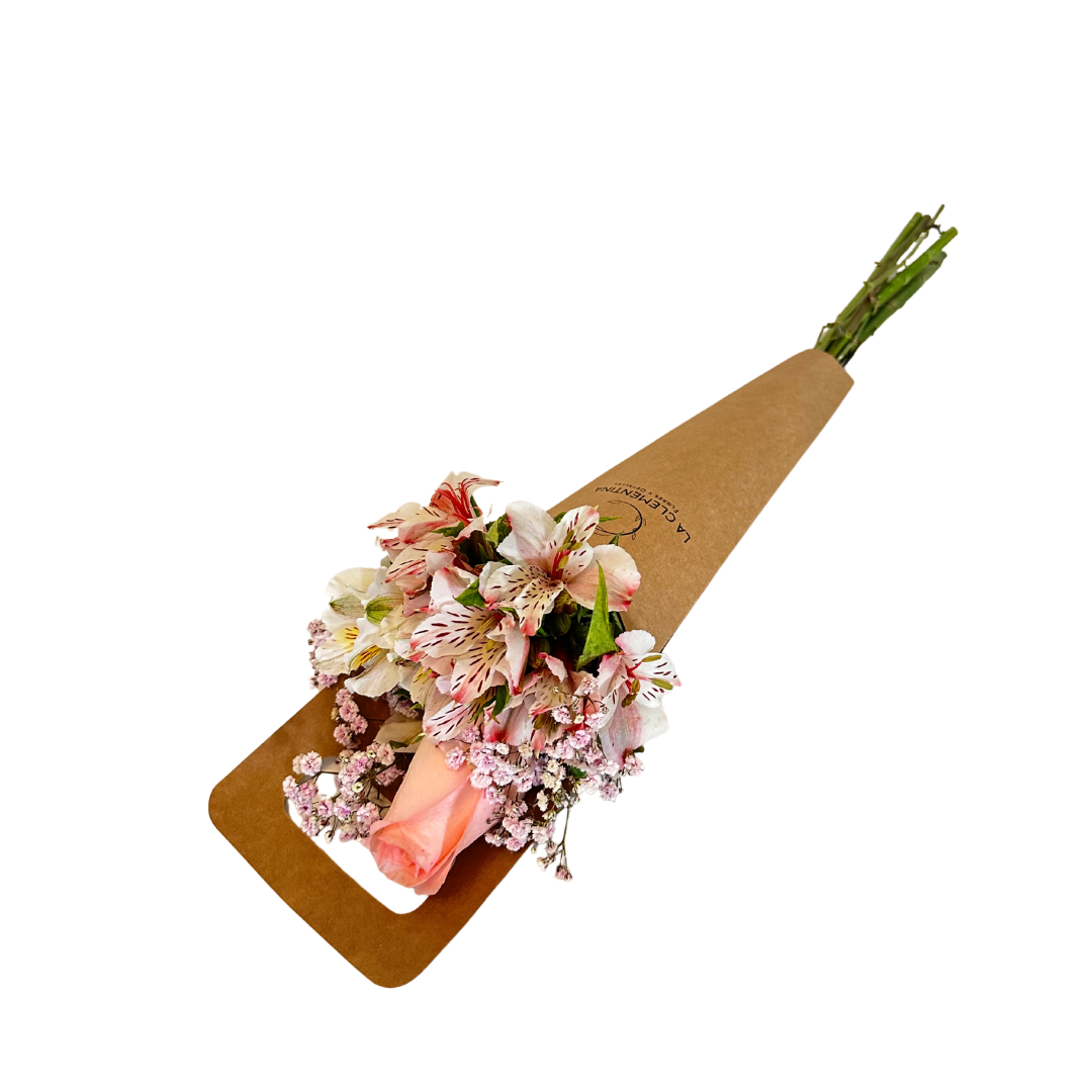 Cono Cleme 1 Rosa - Rosa