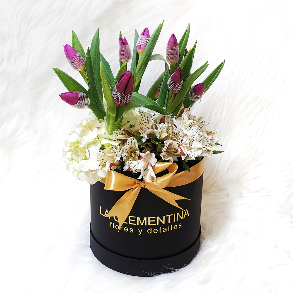 Box 10 Tulipanes